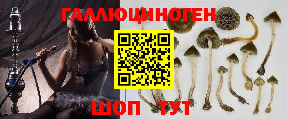 Азнакаево  Галлюциногенные грибы ЛСД  Вход с VPN 